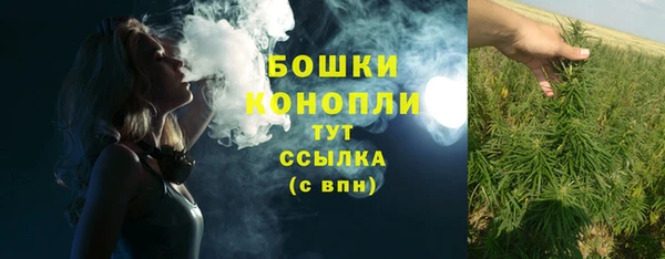 метадон Медногорск