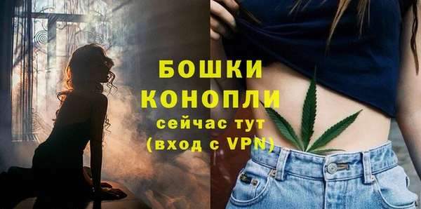 метадон Медногорск