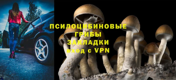 2c-b Мегион