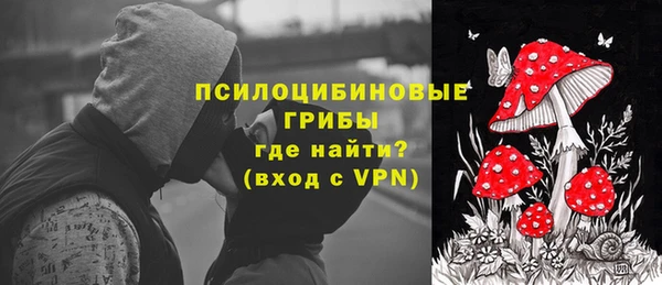 2c-b Медвежьегорск