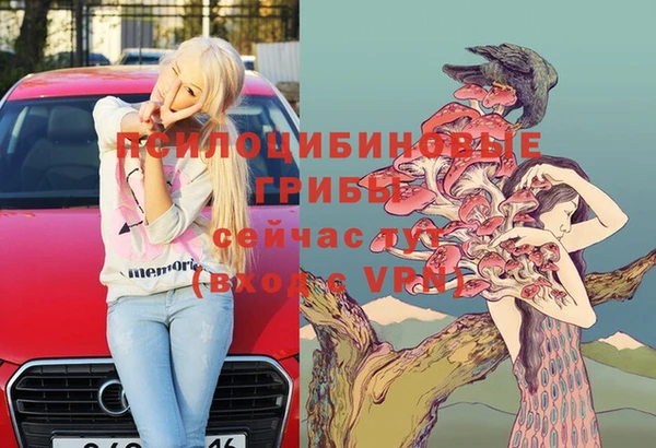 2c-b Мегион