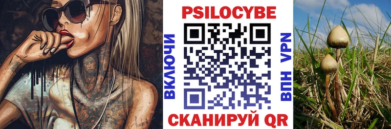 Галлюциногенные грибы прущие грибы  хочу   Сунжа 