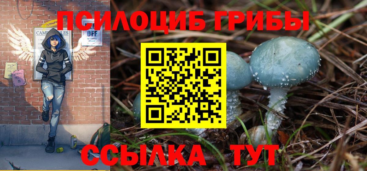 Галлюциногенные грибы прущие грибы  Вход с VPN  Сунжа 