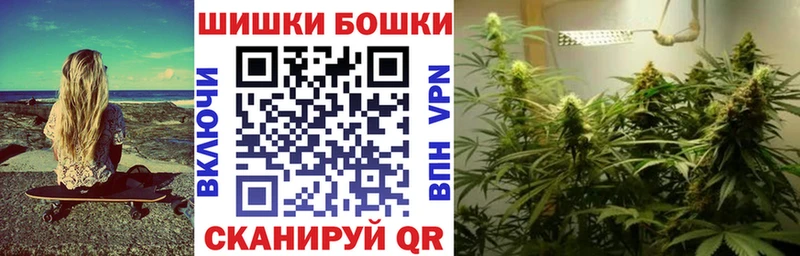 Конопля план  где можно купить   Сунжа 